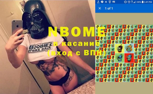 хмурый Аркадак