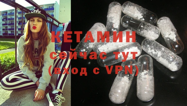 хмурый Аркадак