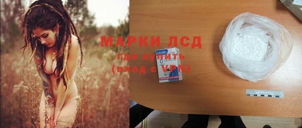 хмурый Аркадак