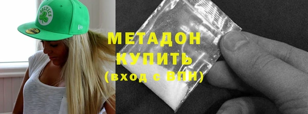 хмурый Аркадак