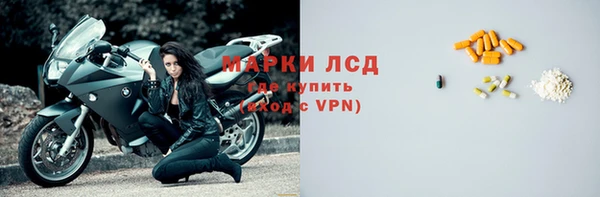 хмурый Аркадак