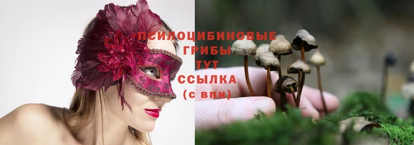стаф Арсеньев