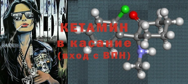хмурый Аркадак