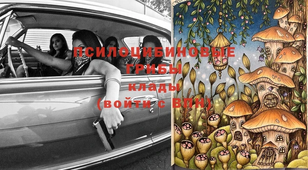 стаф Арсеньев