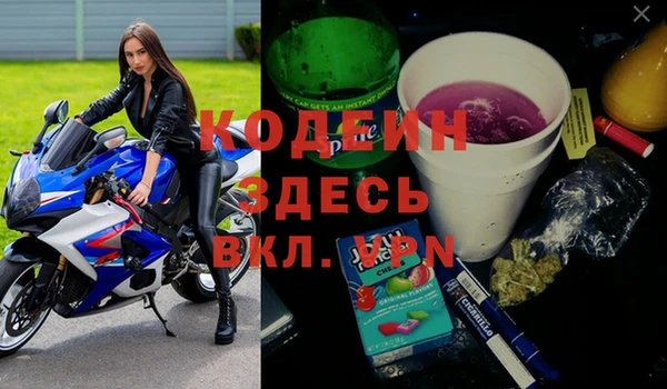 хмурый Аркадак