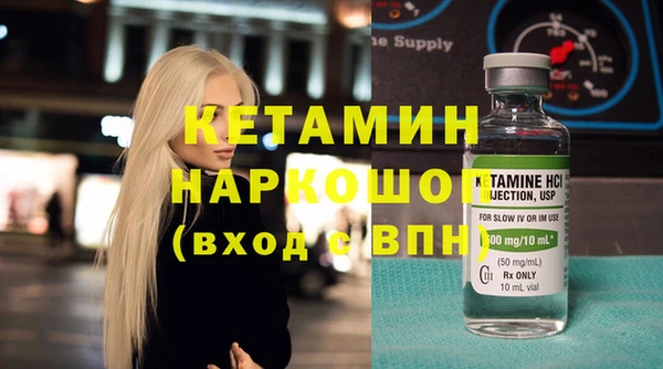 хмурый Аркадак