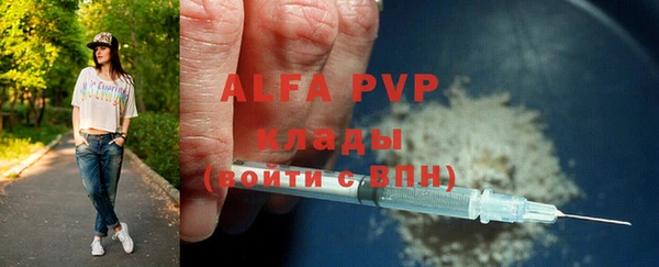 хмурый Аркадак